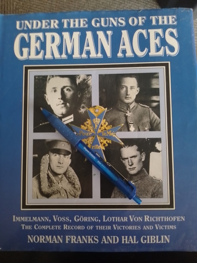 Under the guns of the German Aces kirja