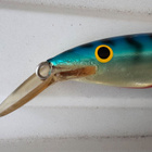 RAPALA MAGNUM FLOATING 26 CM - pikkukuva 2