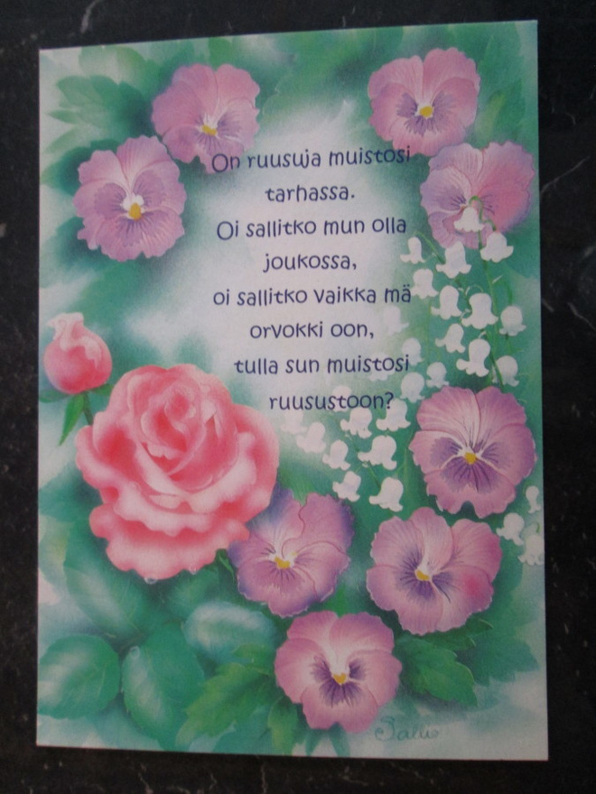 KULKEMATON SALLI PARIKKA RUNOKORTTI
