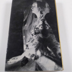 Edith Sitwell : Taken Care of - The Autobiography of Edit... - pikkukuva 2