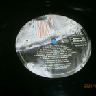 STEVIE NICKS - ROCK A LITTLE - LP - pikkukuva 3