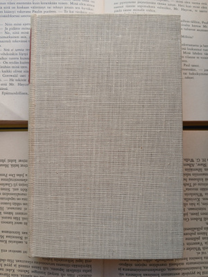 Edna O'Brien - Paheellinen elokuu (sid.)