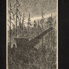 S-Au 38/4/1, Tykki metsässä - pikkukuva 1