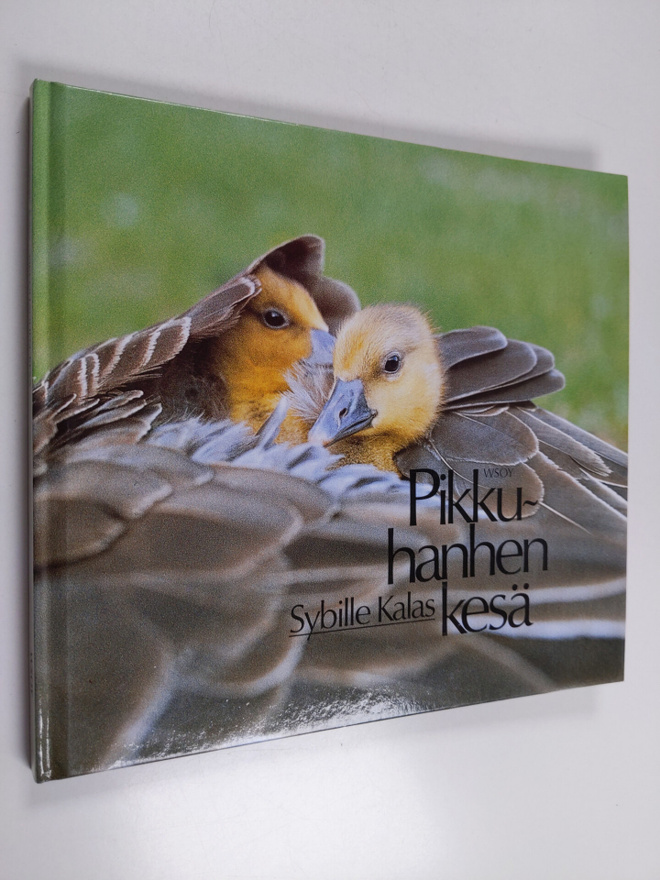 Sybille Kalas : Pikkuhanhen kesä