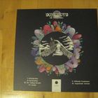 DOMOVOYD - OH SENSIBILITY lp - pikkukuva 2