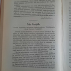 Suomen luokkasota, historiaa ja muiselmia, A Halonen 1928 - pikkukuva 3