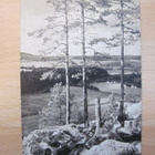 VANHA Postikortti Kuopio 1906 - pikkukuva 1