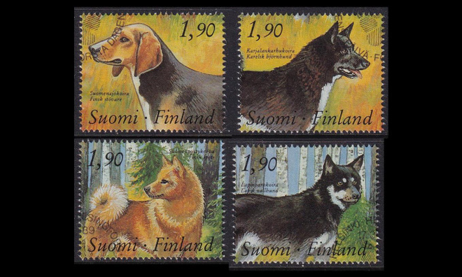 1075-8 o Kenneltoiminta EPL (1989)