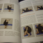 Kukkonen : Aktiivinen kohdevenyttely ( 1 p. 2011) Sis.pk - pikkukuva 3