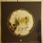 ETERNAL TEARS OF SORROW - Vilda Mannu (LP, Ltd.) - pikkukuva 3