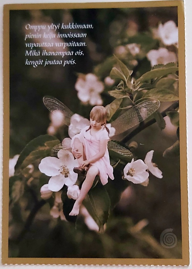 "Keiju omenapuun oksalla"-KULKEMATON POSTIKORTTI