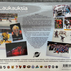 Laukauksia - SM-liiga kuvina 2015-16 - pikkukuva 2