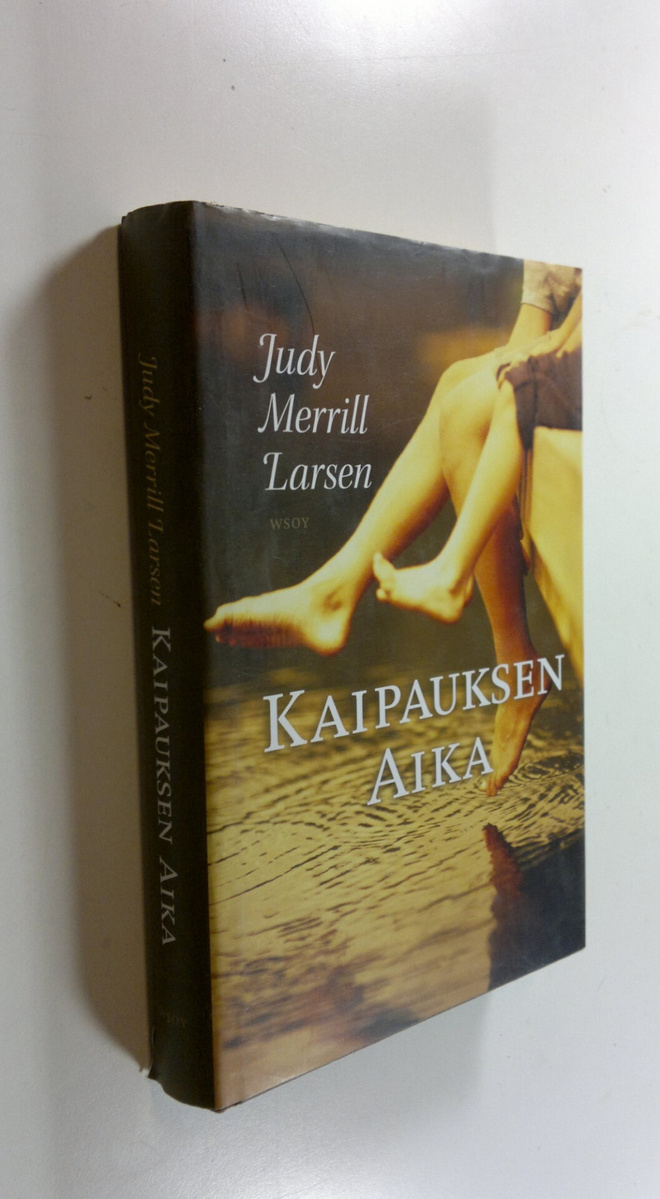 Judy Merrill Larsen : Kaipauksen aika