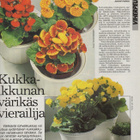Kotivinkki n:o 1 1988 Leena, Markku ja Aira. Aito Matto. - pikkukuva 4