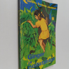 Dorothy Grunbock Johnston : Ginger ja noitatohtori - pikkukuva 1