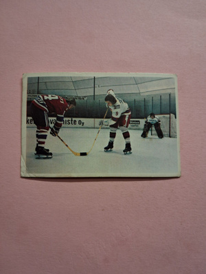 Panda. Jääkiekkokoulu. 20.