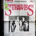 STRAWBS PROMOJULISTE + B/W PROMOKUVA - pikkukuva 1