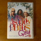 Absolutely fabulous Gay DVD - pikkukuva 1