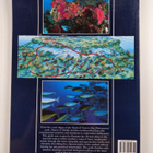 Monica Falcone ym. : Sharm El-Sheikh - Diving Guide - pikkukuva 2