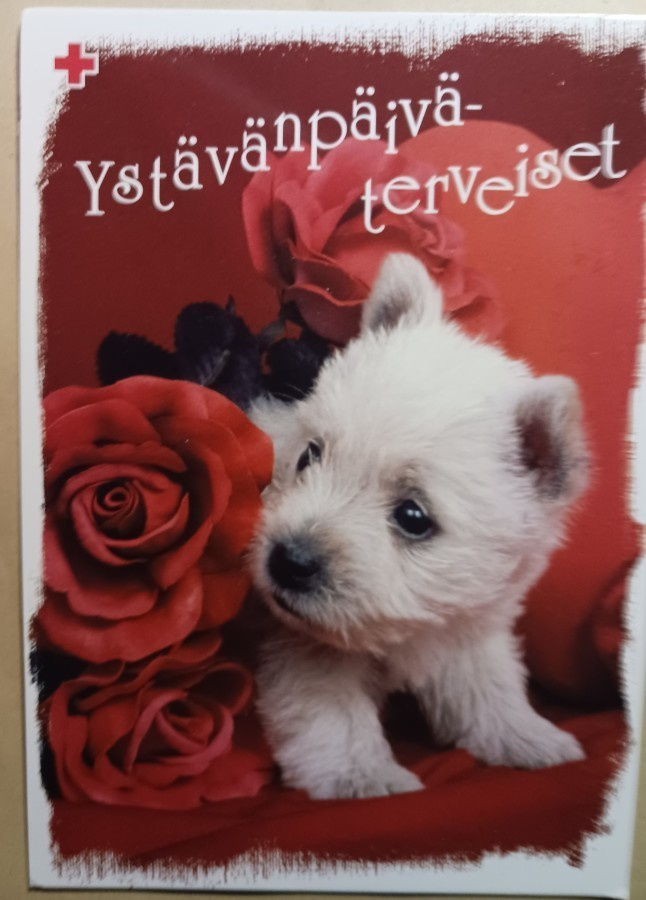 Koiranpentu ja ruusu, Ystävänpäiväpk, SPR PMM p. 2003
