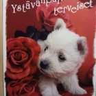 Koiranpentu ja ruusu, Ystävänpäiväpk, SPR PMM p. 2003 - pikkukuva 1