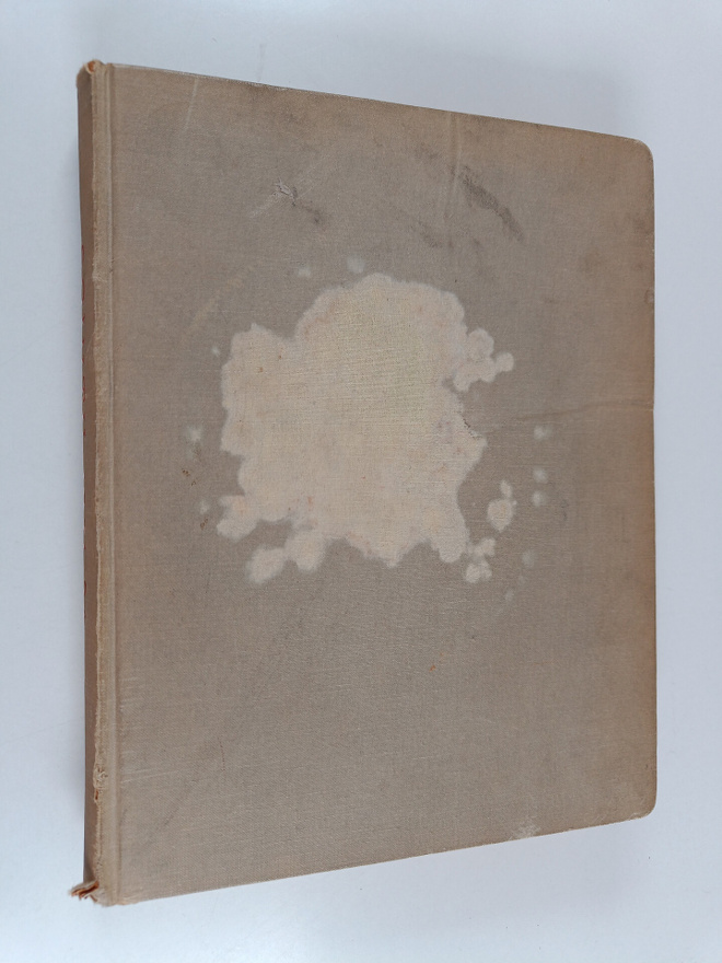 Soihtu 1931-1934 : sosialistinen aikakausilehti (1931 näy...