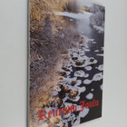 Keuruun joulu : vuosikirja 2010 - pikkukuva 1
