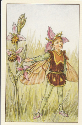 Cicely Mary Barker: Mehiläisorhon keiju