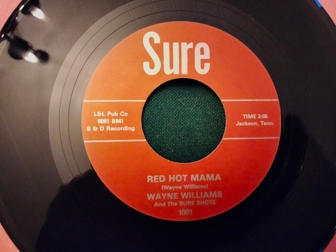Wayne Williams sinkku