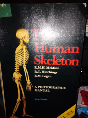 McMinn : The Human Skeleton ( SIS POSTIKULU )