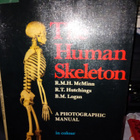 McMinn : The Human Skeleton ( SIS POSTIKULU ) - pikkukuva 1