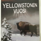 Yellowstonen vuosi (2 DVD) - pikkukuva 1