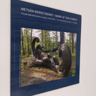 Metsän merkitsemät : ympäristötaiteilijoita Lapista Helsi... - pikkukuva 1