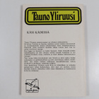 Tauno Yliruusi : Käsi kädessä : rakkaustarina - pikkukuva 2