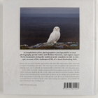 Pertti Koskimies ym. : Snowy Owl - A Year in the Life - pikkukuva 2