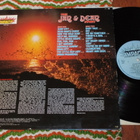 The JAN & DEAN Story - LP 1980 surf,rockabilly EX- - pikkukuva 2
