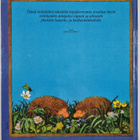 Alfred (idea) Könner : Herää siili, aurinko paistaa - pikkukuva 2