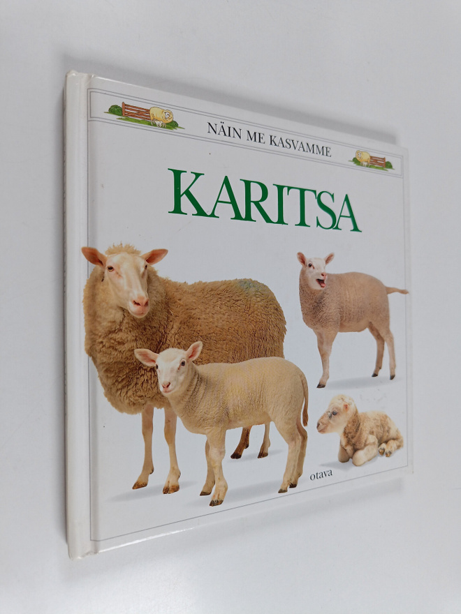 Gordon Clayton : Karitsa