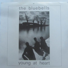 The Bluebells: Young At Heart 12" single 1984 - pikkukuva 1