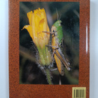 Bob Gibbons : How to Look at Wildlife - pikkukuva 2