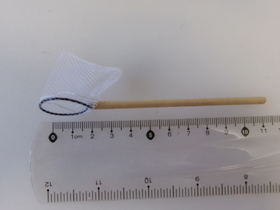 Nukkekoti haavi
