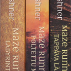 James Dashner: Maze Runner - Labyrintti 1-3 (Basam books) - pikkukuva 2