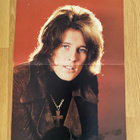 Rod Stewart + Mikko Alatalo + Salomon juliste - pikkukuva 3