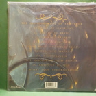 SIGNS OF THE SWARM - THE DISFIGUREMENT OF EXISTENCE M/M- LP - pikkukuva 2