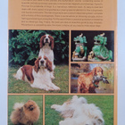 Grace Pond : Purnell's Pictorial Encyclopedia of dogs - pikkukuva 2