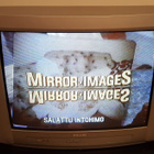 VHS: Salattu intohimo (Mirror Images) - pikkukuva 5