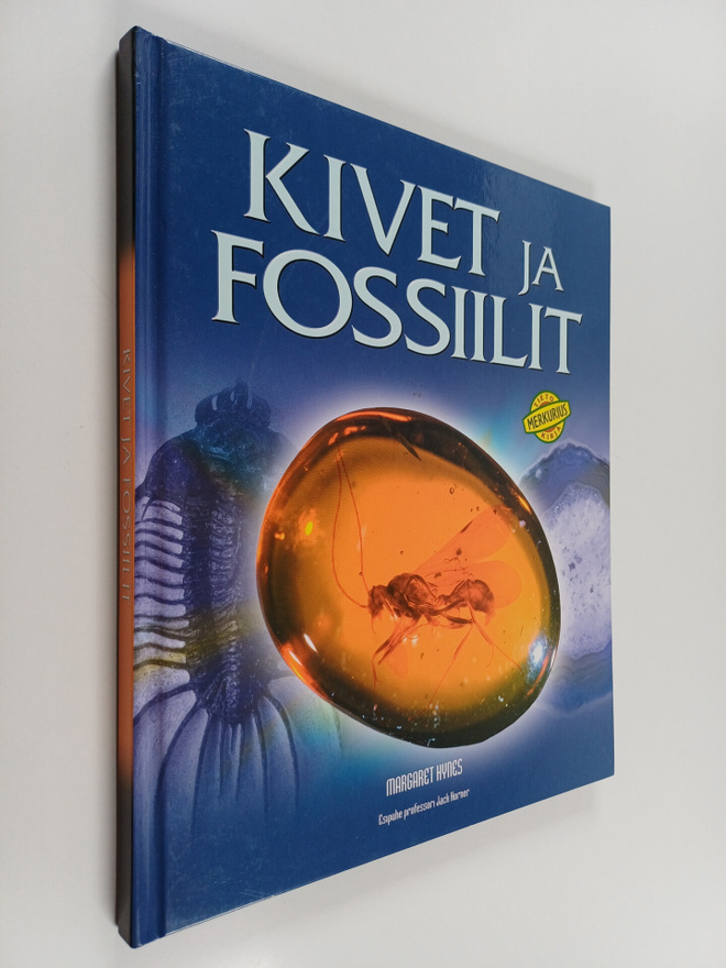 Margaret Hynes : Kivet ja fossiilit