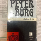 Andrei Belyi - Peterburg (sid.) - pikkukuva 3