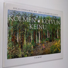 Aila Linnahalme : Kolmen koivun keinu - pikkukuva 1