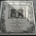DISASTROUS MURMUR Skinning Beginning 1989 - 1991 LP - pikkukuva 2